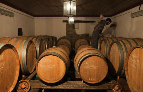 Casali del Picchio - Winery - Foto 39