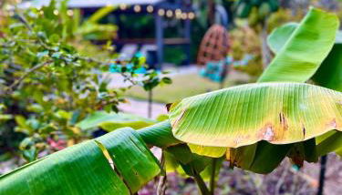 Luxury Tropical Oasis-4 BedRm Private Pool Retreat - Foto 3