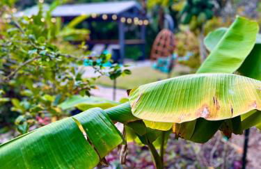 Luxury Tropical Oasis-4 BedRm Private Pool Retreat - Foto 3