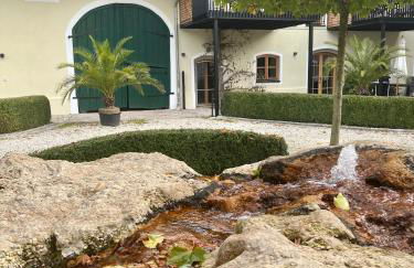 Gut Schwarz-n Hof Ferienwohnungen - Foto 24