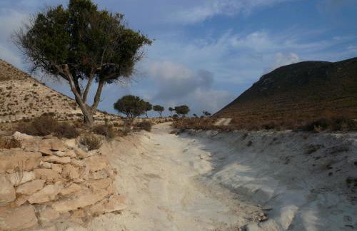 La Posidonia - Foto 59