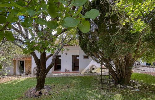 Casa Luis Pato - Foto 59