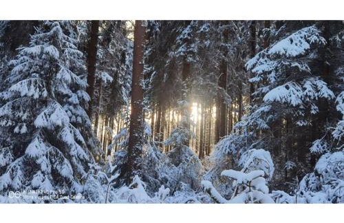 Ferienhaus in Möhrenbach über 2 Etagen - Foto 39