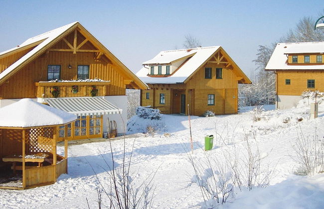 Chalet in Schlierbach Near Ski Trails - Foto 23