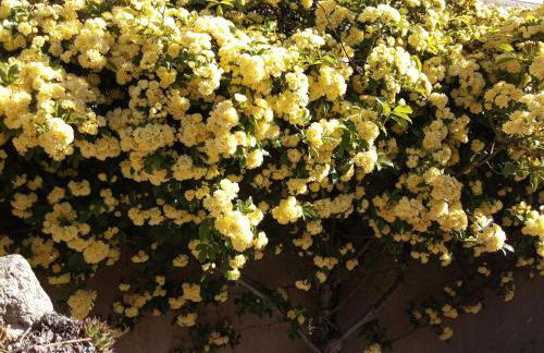 Villa Les oliviers - Foto 50