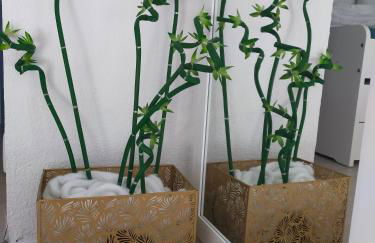 Résidence les Estivales - Photo 12