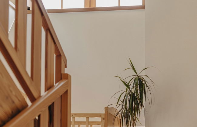 Coronata Haus - Photo 35