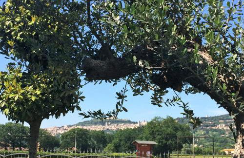 Residenza Il Rivo - Photo 27