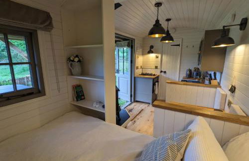 Hut in the Forest - Foto 5