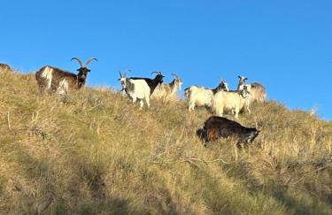 Le Petit Studio de Merlimont - Foto 28
