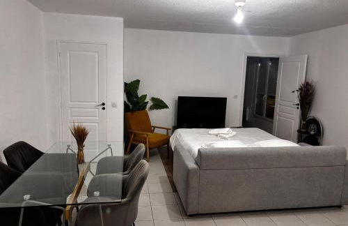 Mondello Hôtellerie Appartement de standing entièrement rénové, 47m2 avec piscine Cannes - Foto 21