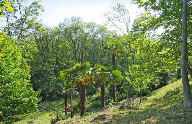 Casa nel Bosco - Foto 15