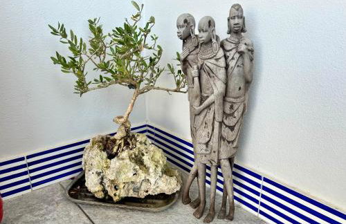 Maresca's Rooftop Sea View Sorrento - Foto 23