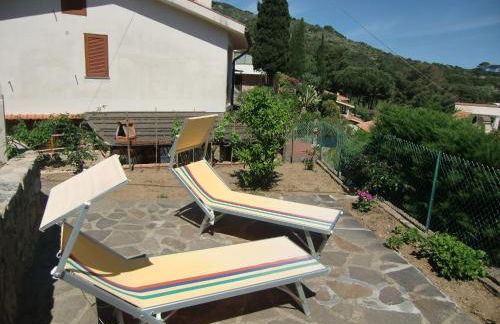 Ammiraglio - Foto 39