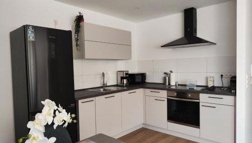 Parkblick Apartment Weißenthurm Nähe Koblenz - Foto 5