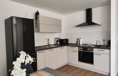 Parkblick Apartment Weißenthurm Nähe Koblenz - Foto 5