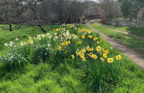 Beudy Dolpebyll - Photo 50