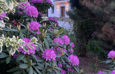 Domki PrzySowie - Góry Sowie - Foto 26