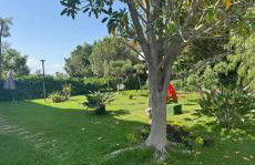 Casa Vacanze Oasi Felicita - Foto 6