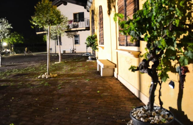 Agricola Lanciani - Foto 16