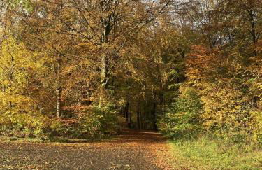 Gittas Paradiesperle - Foto 16