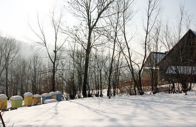 Zachełmna - Foto 36