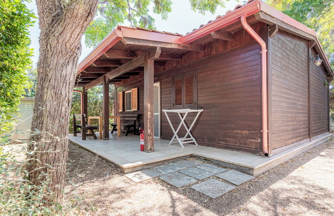 BIO AGRITURISMO SALOS - Foto 44