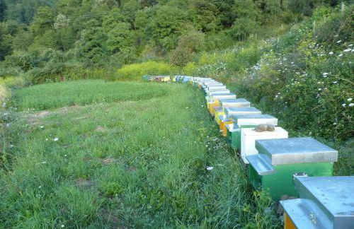 Agriturismo Giandriale - Foto 34