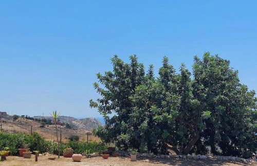 Casa Palombara - Healiday in Torre Salsa - Foto 70