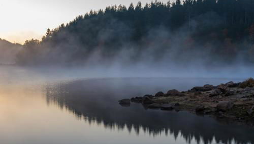 Gästehaus Seewald- Ferienwohnung 3 "Tanne", Schluchsee, Blasiwald - Foto 3