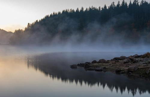 Gästehaus Seewald- Ferienwohnung 4 "Lärche", Schluchsee, Blasiwald - Foto 19
