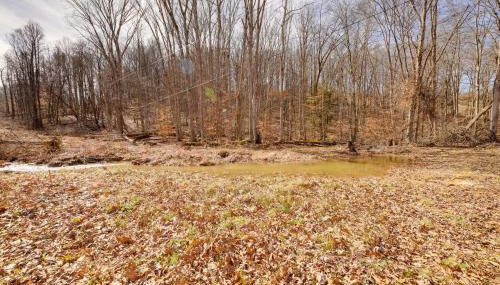 4 Mi to Gauley River Rapids! Outdoor Adventure Hub - Foto 4