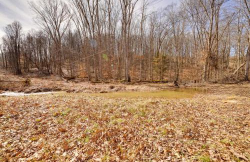 4 Mi to Gauley River Rapids! Outdoor Adventure Hub - Foto 4