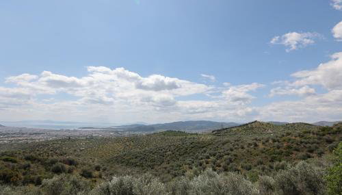 Admonis - Home in the olive grove - Foto 3