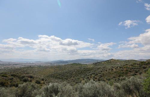 Admonis - Home in the olive grove - Foto 47