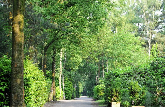 Holiday Home in Netherlands Pond View - Photo 21