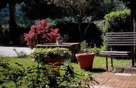 I Gelsi di Colombata Locazione turistica breve in campagna - Foto 8