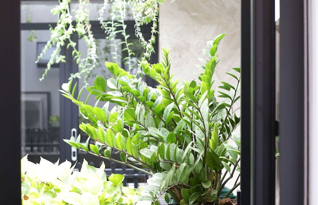 Mother's Home - Foto 35