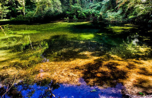 Senderismo hasta la cascada de Guaratuba - Foto 6