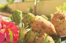 Al Civico 365 - Foto 8