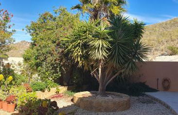 Cresta Azul - Foto 73