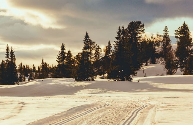 Modern Mountain Cabin - 3 Bedrooms - Sleeps 7 - Foto 34