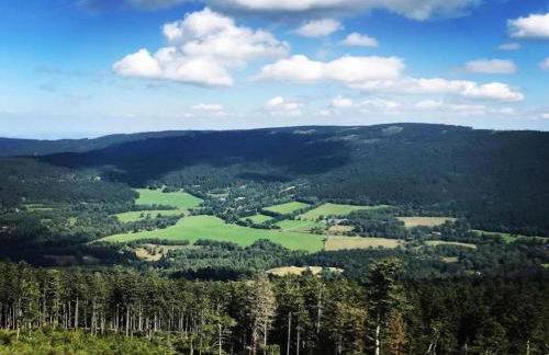 Das Kuenstlerhaus in Kammerstein - Photo 56