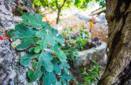 Villa Riva - Photo 21