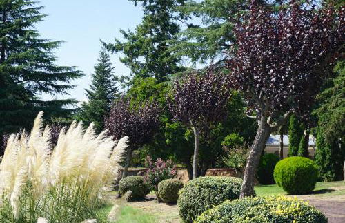 Masia de Can Ferrer - Foto 43