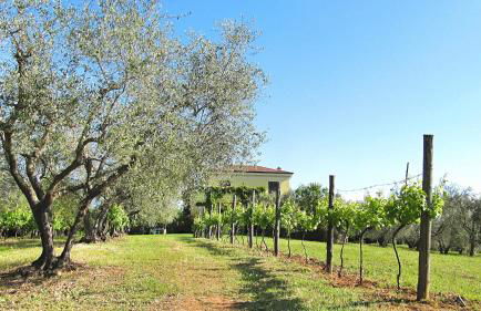 Villa Montecasciano - Foto 37