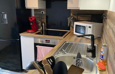 Superbe Chambre parentale avec salle de bains privée et WC privés, wifi, cuisine - Foto 9