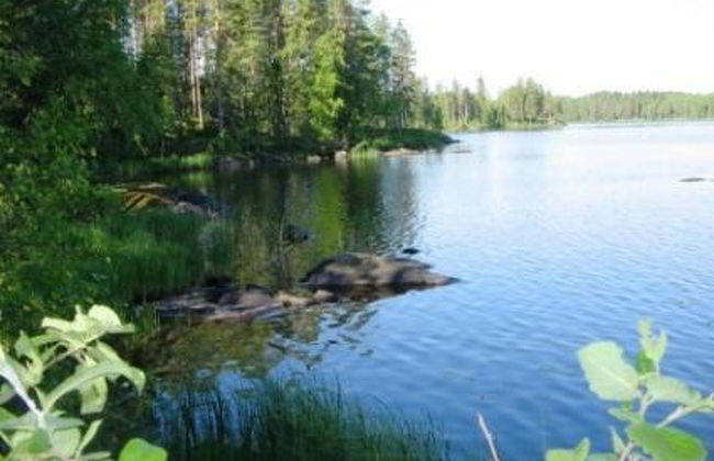 2 bedroom House in Pielavesi with sauna - Photo 16