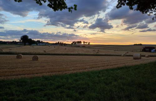 Ferienwohnung Hasenfratz - Foto 41