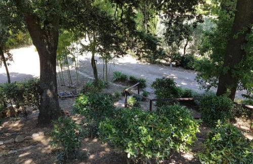 Il Leccio - Casa Toscana San Gimignano - Foto 44